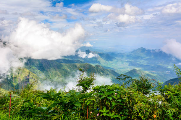 Tour Package for Kodaikanal