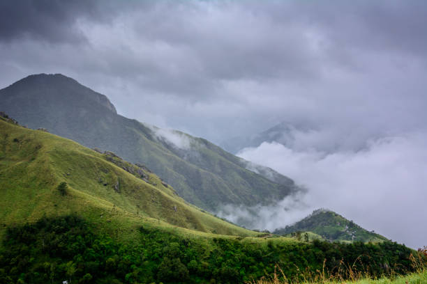 istock Munnar (also known as tea capital of India) during Monsoon in Kerala, India 1175504448