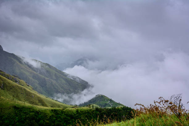 istock Munnar (also known as tea capital of India) during Monsoon in Kerala, India 1175504604