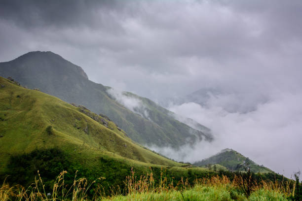 istock Munnar (also known as tea capital of India) during Monsoon in Kerala, India 1175504613