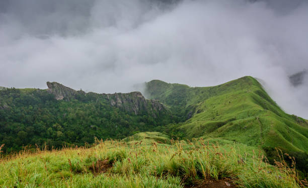 istock Munnar (also known as tea capital of India) during Monsoon in Kerala, India 1175504855