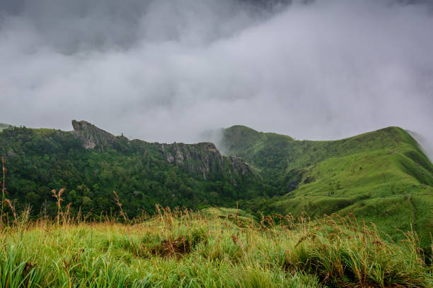 istock Munnar (also known as tea capital of India) during Monsoon in Kerala, India 1175505462