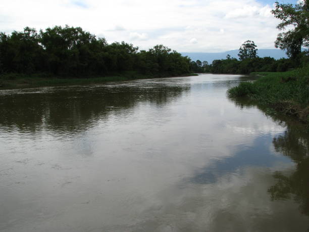 istock Partial view of the Paraiba river banks 1175505549