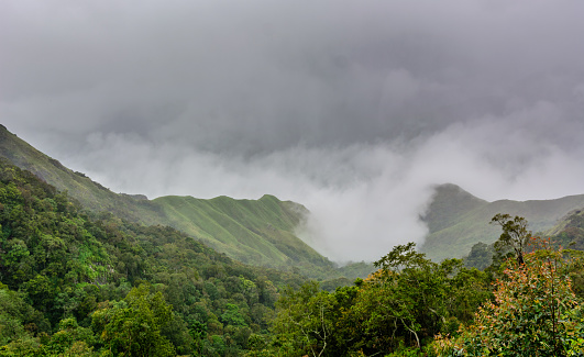 Munnar (also known as tea capital of India) during Monsoon in Kerala, India