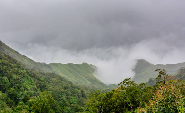 istock Munnar (also known as tea capital of India) during Monsoon in Kerala, India 1175506268
