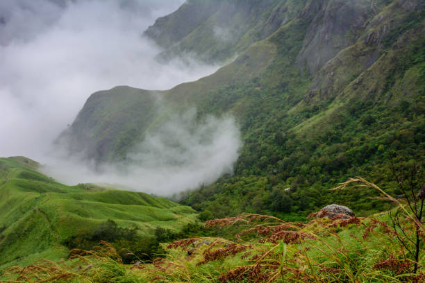 istock Munnar (also known as tea capital of India) during Monsoon in Kerala, India 1175506377