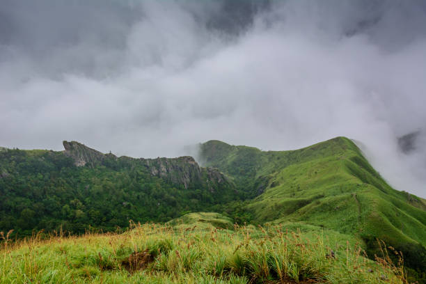 istock Munnar (also known as tea capital of India) during Monsoon in Kerala, India 1175506433