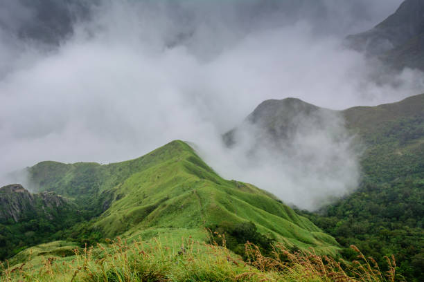 istock Munnar (also known as tea capital of India) during Monsoon in Kerala, India 1175506451