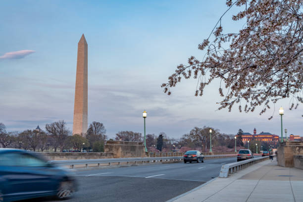 istock During National Cherry Blossom Festival, Washington Monument in Washington DC,USA 1175507607