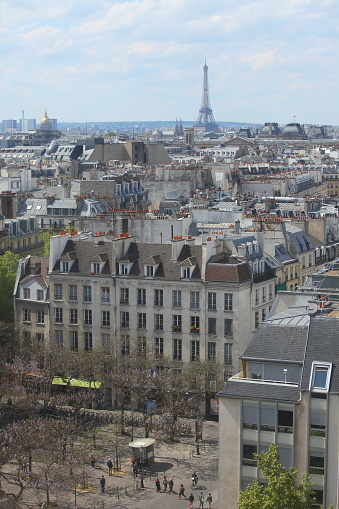 View on Parisian roofs and Eiffel tower