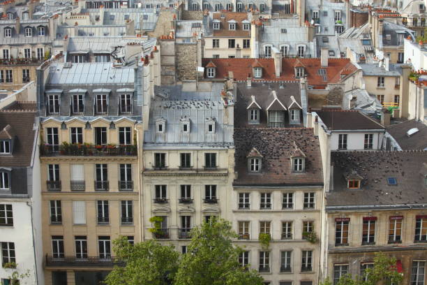 telhados parisienses - paris france roof apartment aerial view - fotografias e filmes do acervo