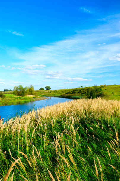 istock Beautiful summer scene with river and hills 1175510888
