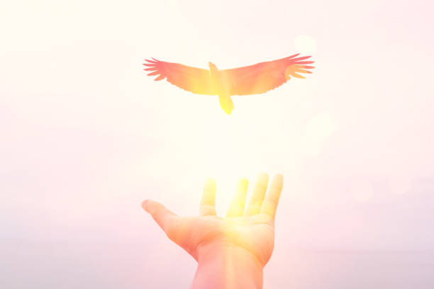 istock Freedom and feel good concept. Man hand open and eagle bird fly on sunset abstract background. 1175511548