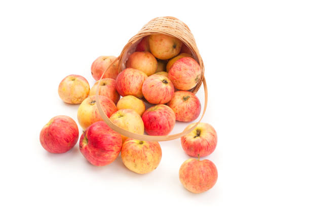 istock Organic ripe apples in wicker basket close up on white background 1175512688