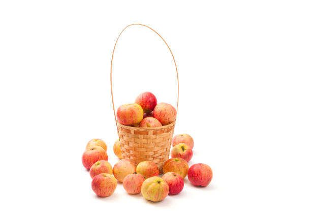 istock Wicker basket with fresh an apples on white background 1175514741