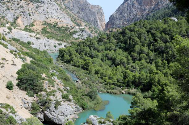 istock Guadalhorce river in 