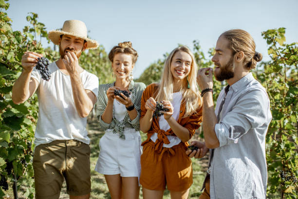 istock Group of young people on the vineyard 1175521327