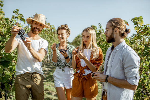 istock Group of young people on the vineyard 1175521365