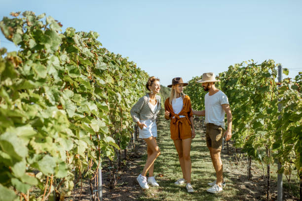 istock Group of young people on the vineyard 1175521371