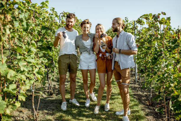 istock Group of young people on the vineyard 1175521394