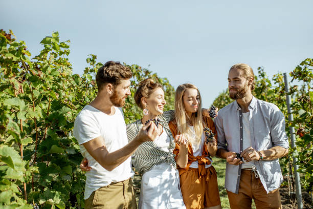 istock Group of young people on the vineyard 1175521410