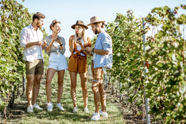 istock Group of young people on the vineyard 1175521428