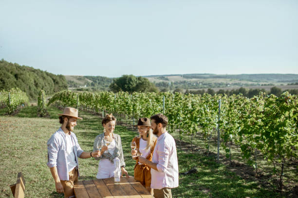 istock Friends tasting wine on the vineyard 1175521482
