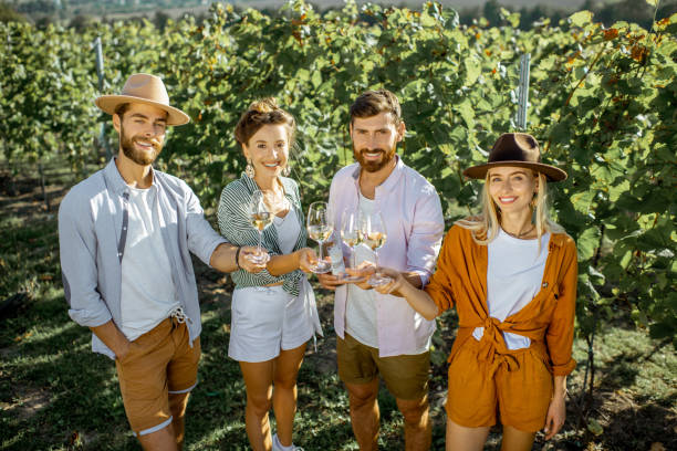 istock Friends tasting wine on the vineyard 1175521510