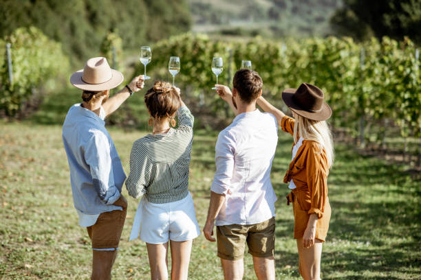 Friends tasting wine on the vineyard Group of young friends tasting wine on the vineyard, looking on the wine glasses on a sunny summer morning, view from the backside wine tasting stock pictures, royalty-free photos & images