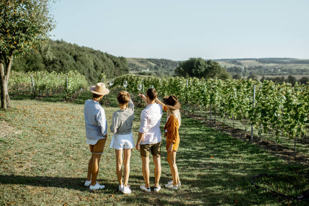 istock Friends tasting wine on the vineyard 1175521513