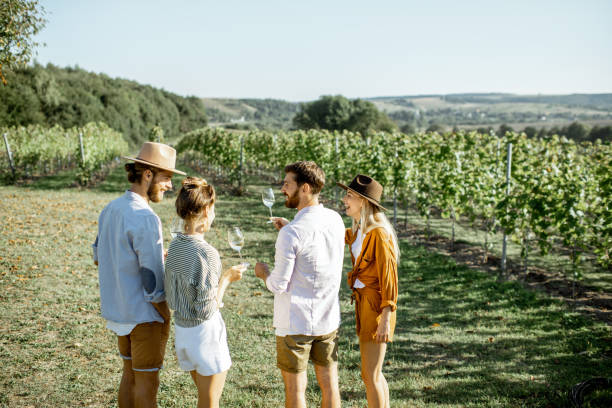istock Friends tasting wine on the vineyard 1175521528