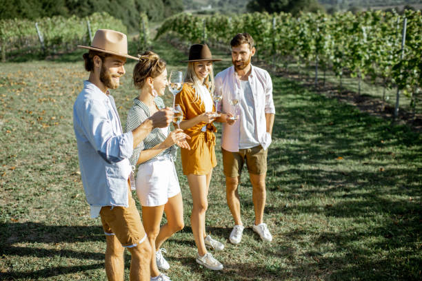 istock Friends tasting wine on the vineyard 1175521542