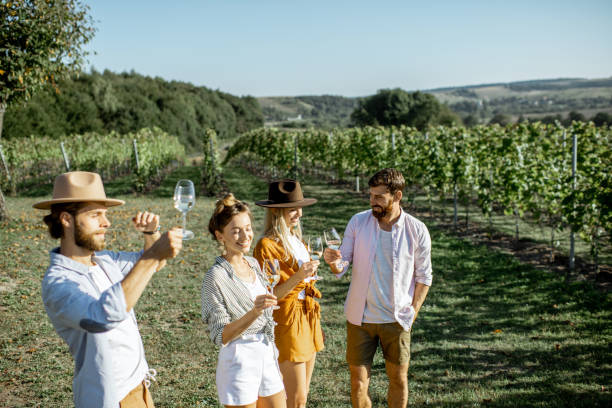 istock Friends tasting wine on the vineyard 1175521564