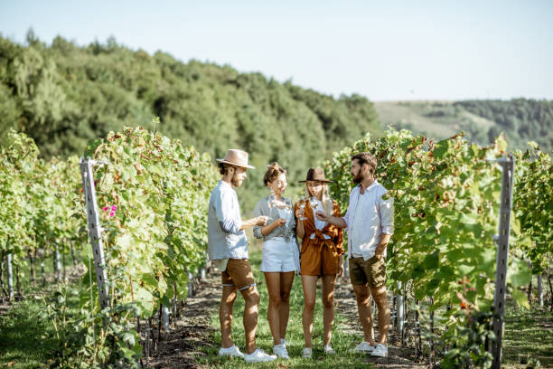 istock Friends tasting wine on the vineyard 1175521582