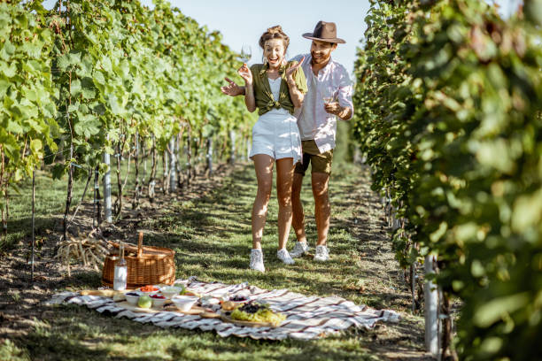 istock Couple having romantic picnic on the vineyard 1175521691
