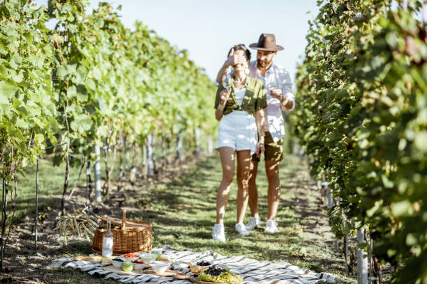 istock Couple having romantic picnic on the vineyard 1175521733