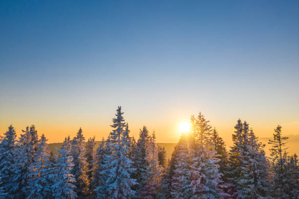 istock Colorful Winter Sunset 1175524380