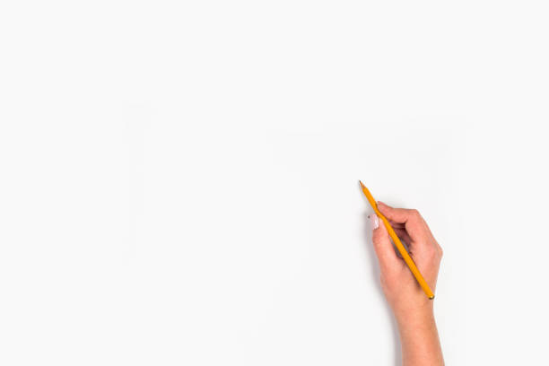 istock Female hands hold a pen. Isolated on white background. copy space, template. 1175526467