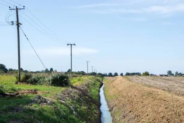 Photo of Field Stream