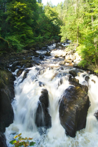 istock Black Linn Falls in the Hermitage in Dunkeld 1175527005