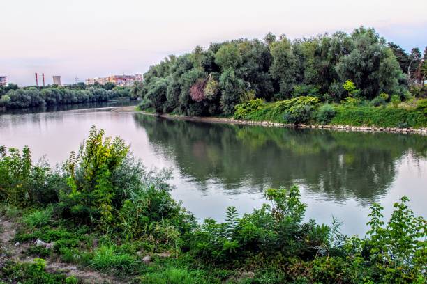 istock Image of the river with willows 1175529326