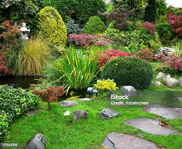 Japanischer Gartenbig Kois Im Teich Stockfoto und mehr Bilder von Baum - Baum, Bonsai, Buchsbaum