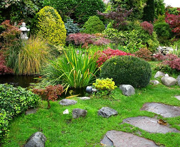 istock Japanese garden - big kois in the pond 117553105