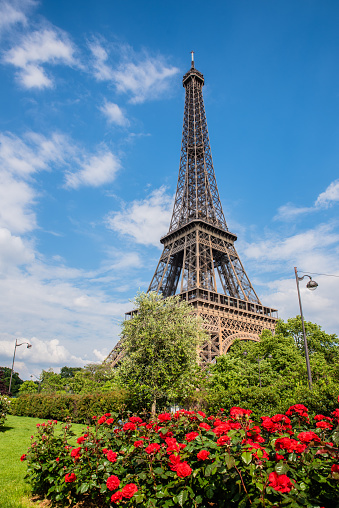 Paris famous landmarks. Eiffel Tower in blue sky with rose flowers, Paris France
