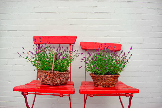 A charming outdoor cafe scene featuring four wooden chairs with red cushions, paired with vibrant, multicolored striped tablecloths. The setup is against a rustic brick and yellow stucco wall, creating a warm and inviting atmosphere perfect for al fresco dining or relaxing outdoors.
