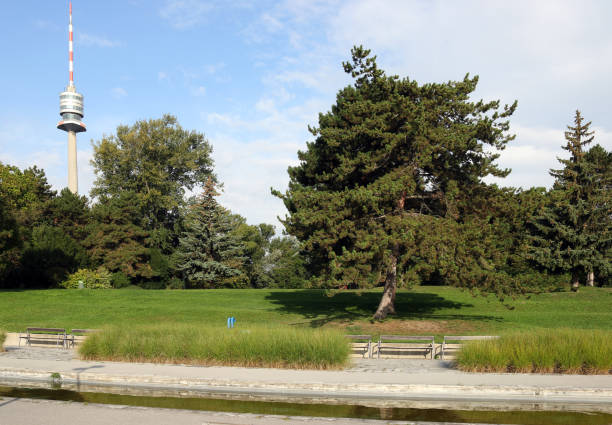 istock Tv tower Danube Tower in Donau Park Vienna Austria 1175538361