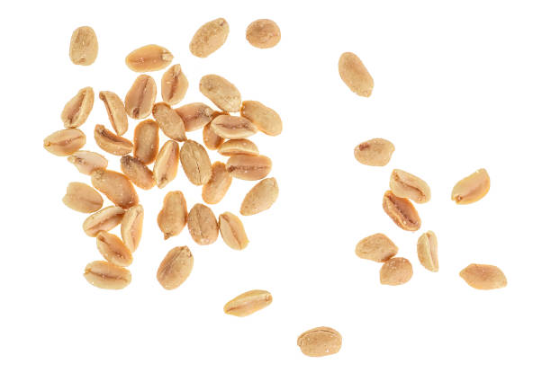 istock Roasted salted peanuts isolated on a white background, top view 1175538494