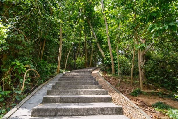 istock Stone steps in a city park 1175540725