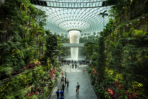 Singapore - 30 Aug 2019: The Jewel Changi is the last architectural addition to the Singapore airport, with a record-high indoor rain vortex waterfall, a vertical tropical forest and a shopping mall under a glass dome.