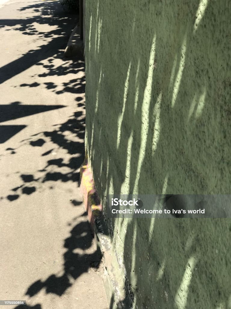 Tree shadow reflection on green coarse wall Abstract Stock Photo Tree shadow reflection on green coarse wall Abstract Stock Photo